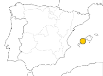 mini-map